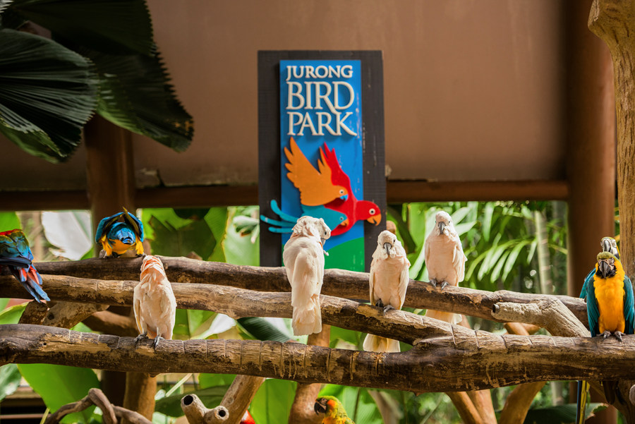 Jurong Bird Park.jpg